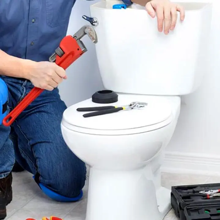 Toilet Repair